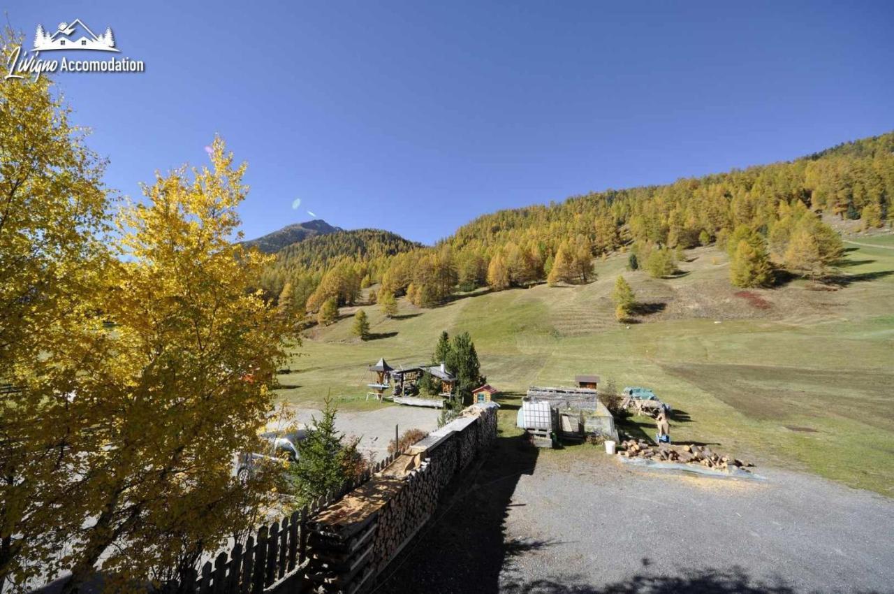 Casa Florin Giumel By Livigno Accomodation 외부 사진
